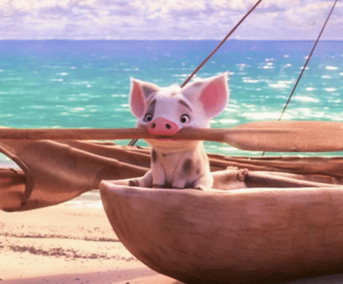 Pua, the pig from Moana
